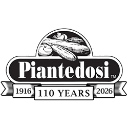 Piantedosi
